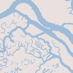 Whitemarsh Island Terrain Map