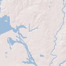 1009 FM2787 Joaquin TX 75954 Terrain Map