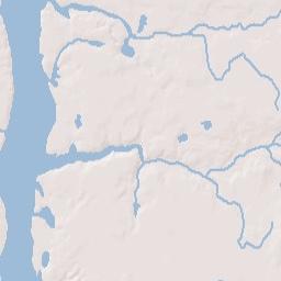 1137-1183 Highway 300, Cordele, GA 31015 Terrain Map