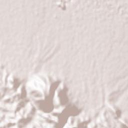 Naghneh Terrain Map