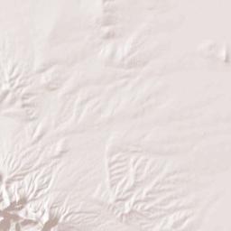 Hidalgo County Terrain Map