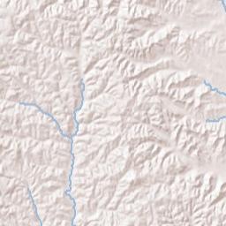 Nettleboro Alabama Terrain Map