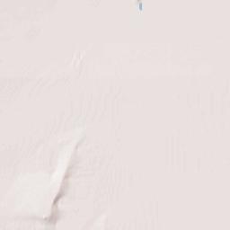 Puerto Palomas Terrain Map