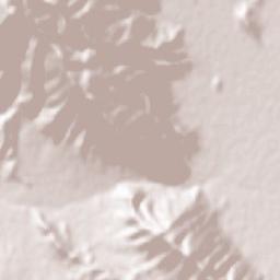 Aluni Terrain Map