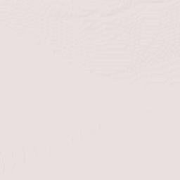 Guadalupe Victoria Terrain Map