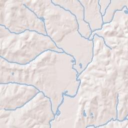Elba Alabama Terrain Map