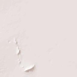 Forrest Arizona Terrain Map