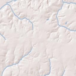 Pinckard Alabama Terrain Map