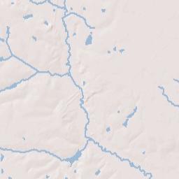 Blackshear Terrain Map