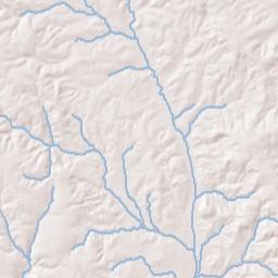 Wallace Alabama Terrain Map