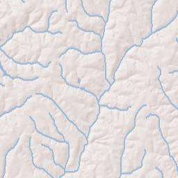 Coffee Springs Alabama Terrain Map