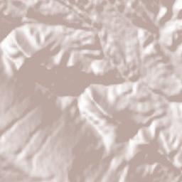 Qaleh Raisi Terrain Map