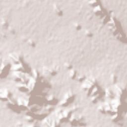 Bahman Terrain Map