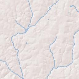 Rome Road, Conecuh National Forest, Wing Terrain Map