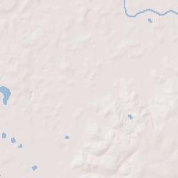 591-595 Mills Road, Whigham, GA  Terrain Map