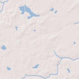 Ellaville Florida Terrain Map