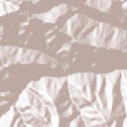 Chaupal Terrain Map