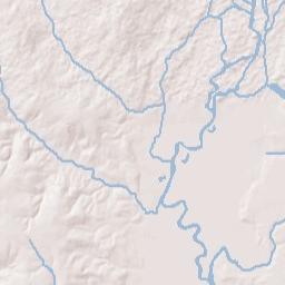McDavid Florida Terrain Map