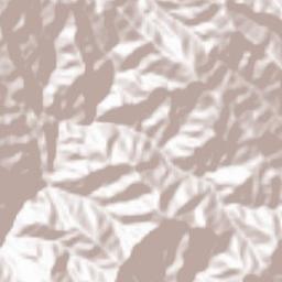 Dagshai Terrain Map