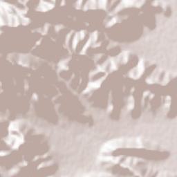 Eqlid Terrain Map