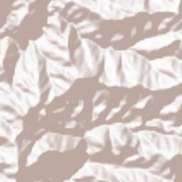Sirmaur Terrain Map