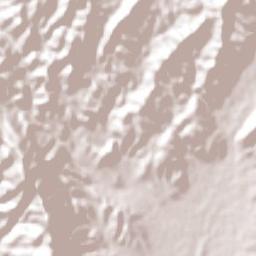 San Ignacio Terrain Map