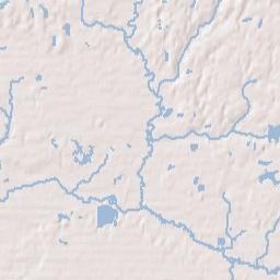 Picayune Terrain Map