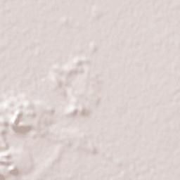 San Quintín Terrain Map