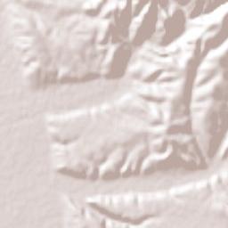Lázaro Cárdenas Terrain Map