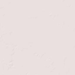 Blacks Still Florida Terrain Map