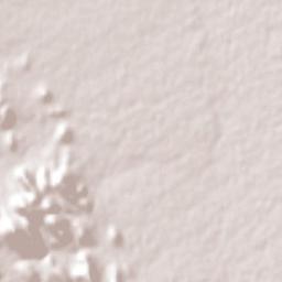 Casas Grandes Terrain Map