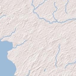 Woods Florida Terrain Map