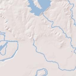 6501-7439 Farm to Market 973, Manor, TX Terrain Map