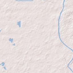 Mayo Junction Florida Terrain Map