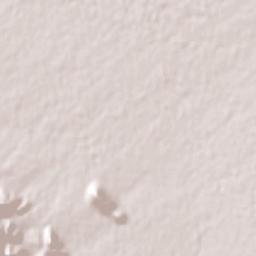 Ejido Benito Juárez Terrain Map