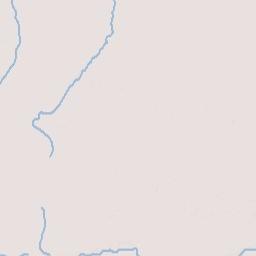 Roach Florida Terrain Map