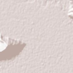 Koushkak Terrain Map