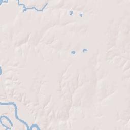 1005 Austin Street, Hempstead, TX 77445 Terrain Map