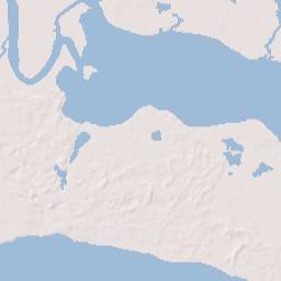 Surf Florida Terrain Map