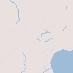 New River Florida Terrain Map