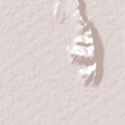 Rodrígo M. Quevedo Terrain Map