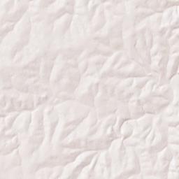 Ranch Road 187, Vanderpool, TX 78885 Terrain Map