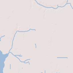 Tocoi Florida Terrain Map