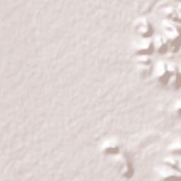 San Buenaventura Terrain Map