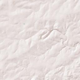 Ranch to Market 12, San Marcos, TX 78666 Terrain Map