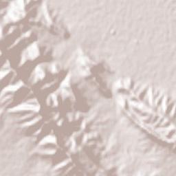 Lapouyee Terrain Map