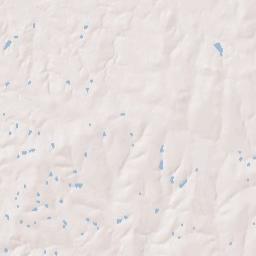 6701-6913 Farm to Market 609, La Grange Terrain Map