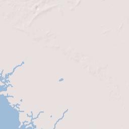 Dallus Creek Landing Florida Terrain Map