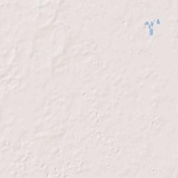 Wade Florida Terrain Map