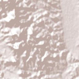 Rayón Terrain Map